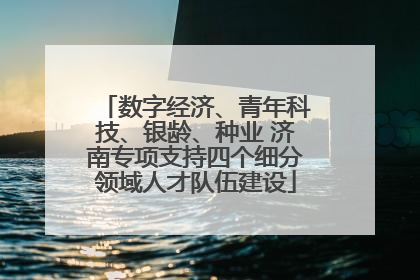数字经济、青年科技、银龄、种业 济南专项支持四个细分领域人才队伍建设