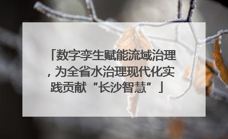 数字孪生赋能流域治理，为全省水治理现代化实践贡献“长沙智慧”