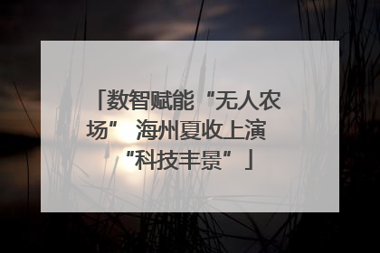 数智赋能“无人农场” 海州夏收上演“科技丰景”