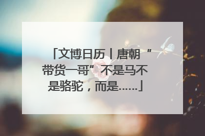 文博日历丨唐朝“带货一哥”不是马不是骆驼，而是……