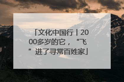 文化中国行丨2000多岁的它，“飞”进了寻常百姓家