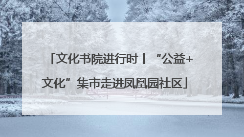 文化书院进行时丨“公益+文化”集市走进凤凰园社区