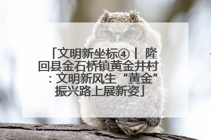 文明新坐标④丨 隆回县金石桥镇黄金井村：文明新风生“黄金” 振兴路上展新姿