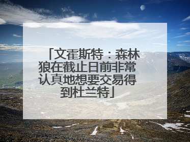 文霍斯特：森林狼在截止日前非常认真地想要交易得到杜兰特