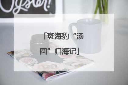 斑海豹“汤圆”归海记