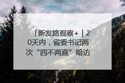 新发路观察+｜20天内，省委书记两次“四不两直”暗访，有何深意？