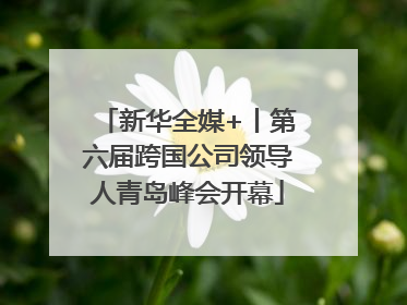 新华全媒+丨第六届跨国公司领导人青岛峰会开幕