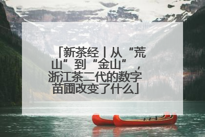 新茶经丨从“荒山”到“金山”，浙江茶二代的数字苗圃改变了什么