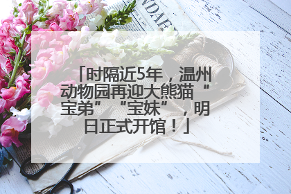时隔近5年，温州动物园再迎大熊猫“宝弟”“宝妹”，明日正式开馆！