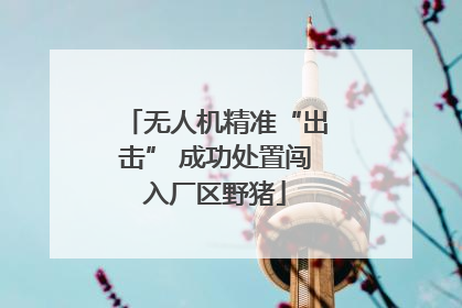 无人机精准“出击” 成功处置闯入厂区野猪