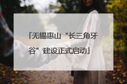 无锡惠山“长三角牙谷”建设正式启动
