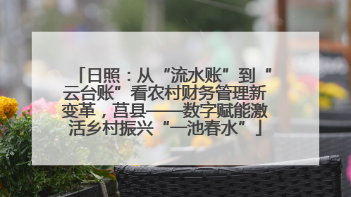 日照：从“流水账”到“云台账”看农村财务管理新变革，莒县——数字赋能激活乡村振兴“一池春水”