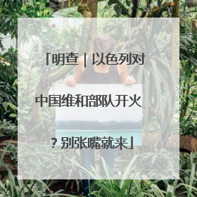 明查｜以色列对中国维和部队开火？别张嘴就来
