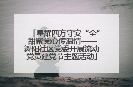 星耀四方守安“全” 甜聚党心传温情——舞阳社区党委开展流动党员建党节主题活动
