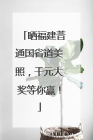 晒福建普通国省道美照，千元大奖等你赢！