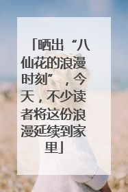 晒出“八仙花的浪漫时刻”，今天，不少读者将这份浪漫延续到家里