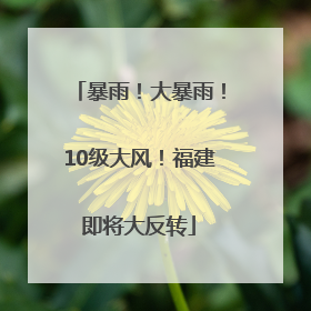 暴雨！大暴雨！10级大风！福建即将大反转
