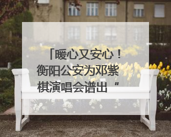 暖心又安心！衡阳公安为邓紫棋演唱会谱出“平安曲”