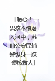 暖心！一男孩不慎落入河中，苏仙公安民辅警纵身一跃硬核救人