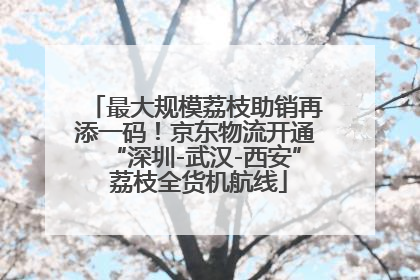 最大规模荔枝助销再添一码！京东物流开通“深圳-武汉-西安” 荔枝全货机航线