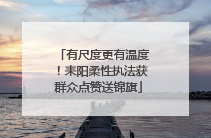 有尺度更有温度！耒阳柔性执法获群众点赞送锦旗