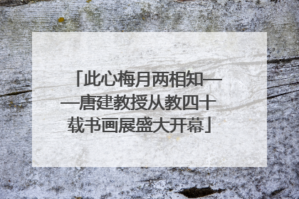 此心梅月两相知——唐建教授从教四十载书画展盛大开幕