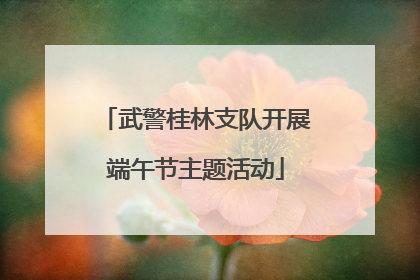 武警桂林支队开展端午节主题活动