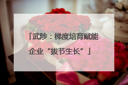 武陟：梯度培育赋能企业“拔节生长”