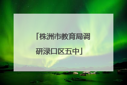 株洲市教育局调研渌口区五中