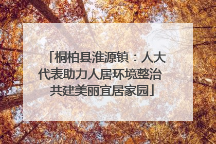 桐柏县淮源镇：人大代表助力人居环境整治 共建美丽宜居家园