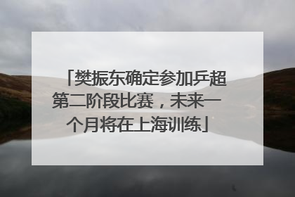 樊振东确定参加乒超第二阶段比赛，未来一个月将在上海训练