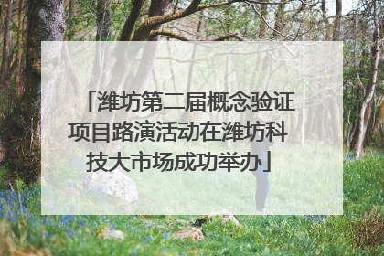 潍坊第二届概念验证项目路演活动在潍坊科技大市场成功举办
