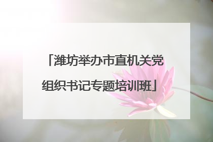 潍坊举办市直机关党组织书记专题培训班