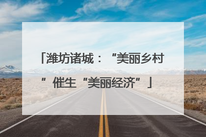 潍坊诸城：“美丽乡村”催生“美丽经济”
