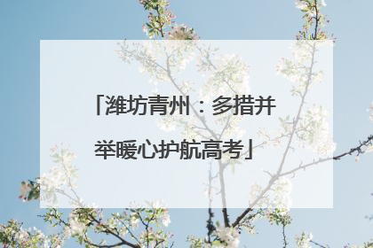 潍坊青州：多措并举暖心护航高考