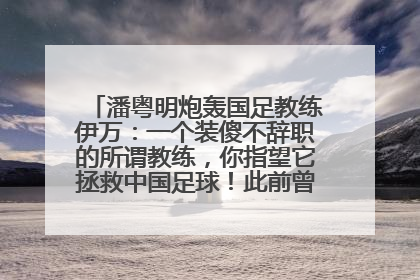 潘粤明炮轰国足教练伊万：一个装傻不辞职的所谓教练，你指望它拯救中国足球！此前曾多次发文评价国足