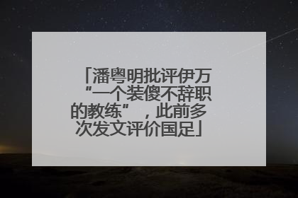 潘粤明批评伊万“一个装傻不辞职的教练”，此前多次发文评价国足