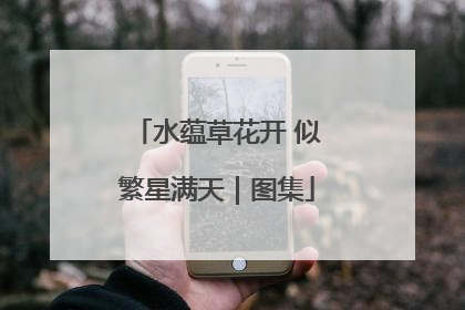 水蕴草花开 似繁星满天｜图集