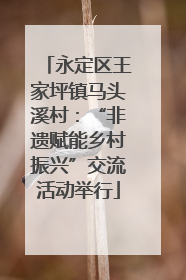 永定区王家坪镇马头溪村：“非遗赋能乡村振兴”交流活动举行