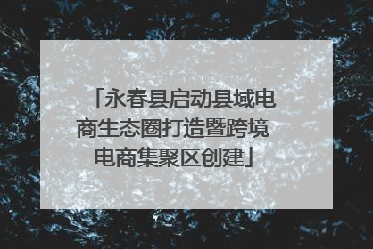 永春县启动县域电商生态圈打造暨跨境电商集聚区创建