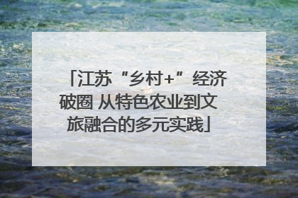 江苏“乡村+”经济破圈 从特色农业到文旅融合的多元实践