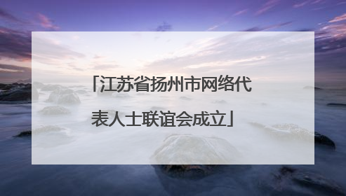 江苏省扬州市网络代表人士联谊会成立