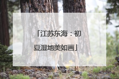江苏东海：初夏湿地美如画