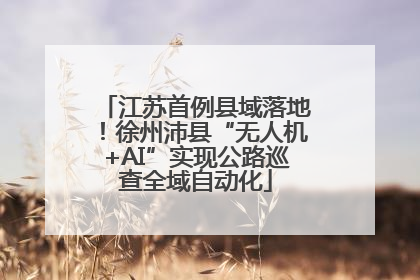 江苏首例县域落地！徐州沛县“无人机+AI”实现公路巡查全域自动化