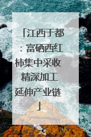 江西于都：富硒西红柿集中采收 精深加工延伸产业链