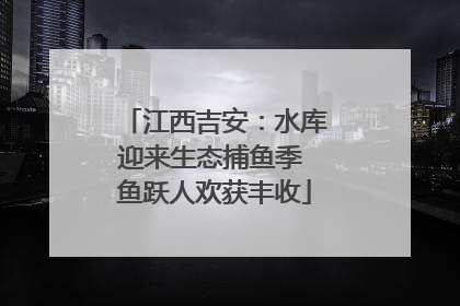 江西吉安：水库迎来生态捕鱼季 鱼跃人欢获丰收