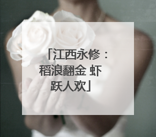 江西永修：稻浪翻金 虾跃人欢