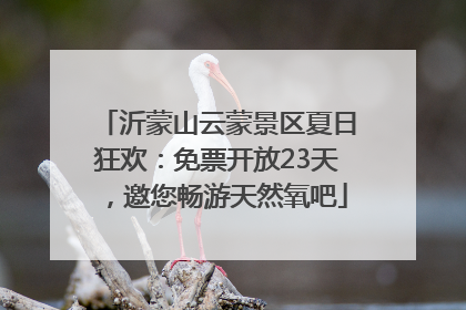 沂蒙山云蒙景区夏日狂欢：免票开放23天，邀您畅游天然氧吧