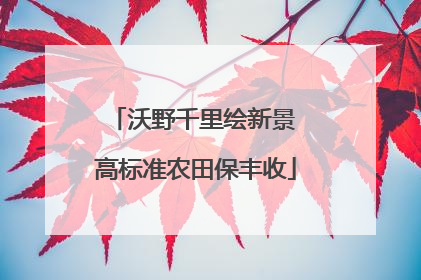 沃野千里绘新景 高标准农田保丰收