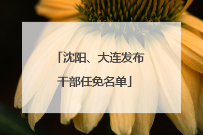 沈阳、大连发布干部任免名单